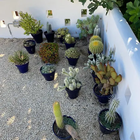 Casa Del Mar *